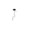 Feu de gabarit 10-30V rouge/blanc 60x34mm LED