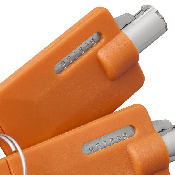 Serrure avec clé pour sabot de roue Nemesis Ultra SCM (360178)