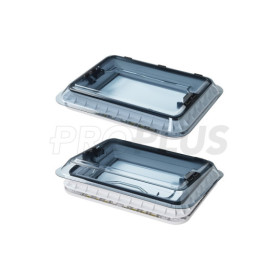 Lanterneau 700x500 mm sans ventilation permanente transparent led